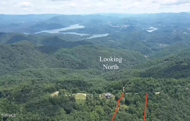 1213 Mays Ridge Rd, Butler, TN 37640
