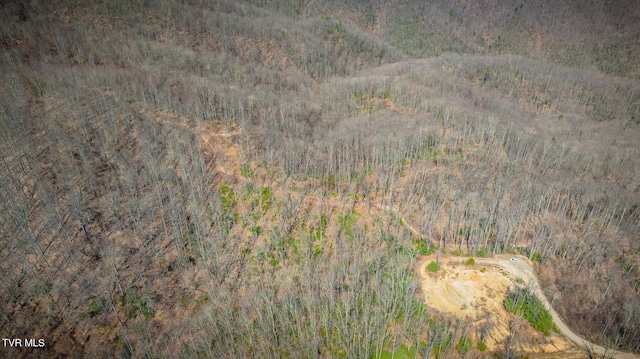 1213 Mays Ridge Rd, Butler, TN 37640