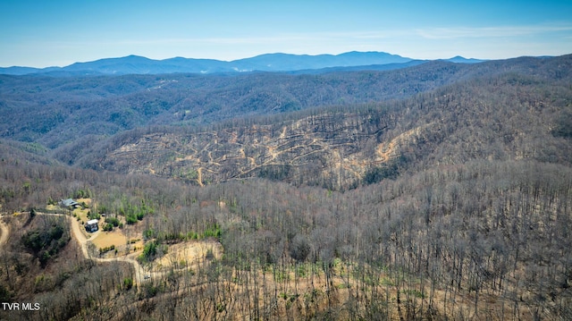 1213 Mays Ridge Rd, Butler, TN 37640