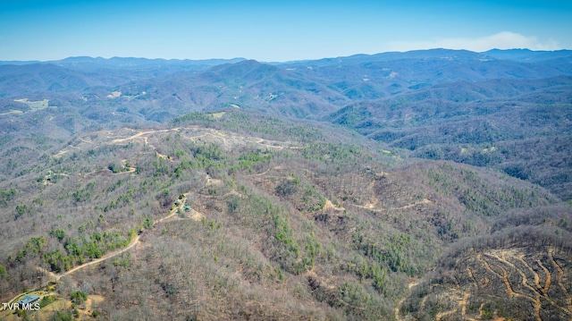 1213 Mays Ridge Rd, Butler, TN 37640