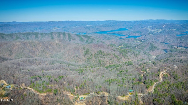 1213 Mays Ridge Rd, Butler, TN 37640
