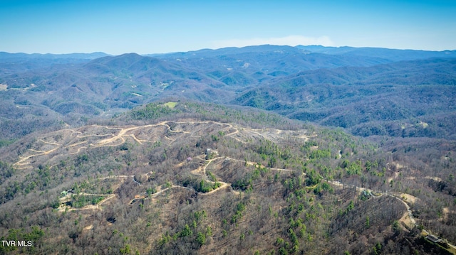 1213 Mays Ridge Rd, Butler, TN 37640
