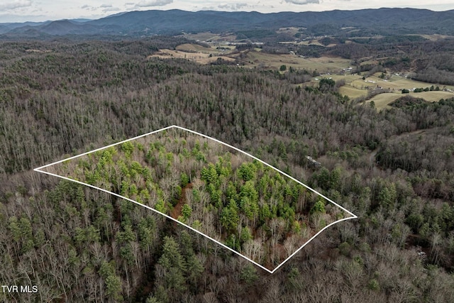 TBD Rocky Knob Rd, Mountain City TN, 37683 land for sale