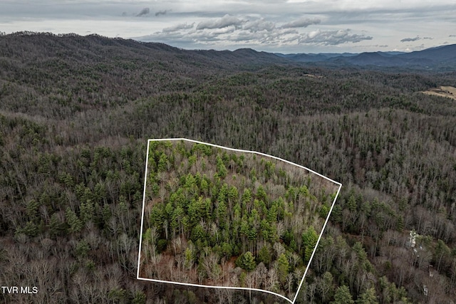 Listing photo 2 for TBD Rocky Knob Rd, Mountain City TN 37683