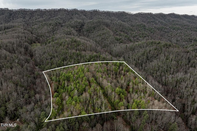 Listing photo 3 for TBD Rocky Knob Rd, Mountain City TN 37683