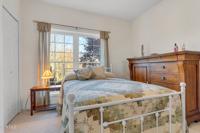 carpeted bedroom with a closet