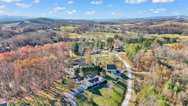 birds eye view of property with a mountain view