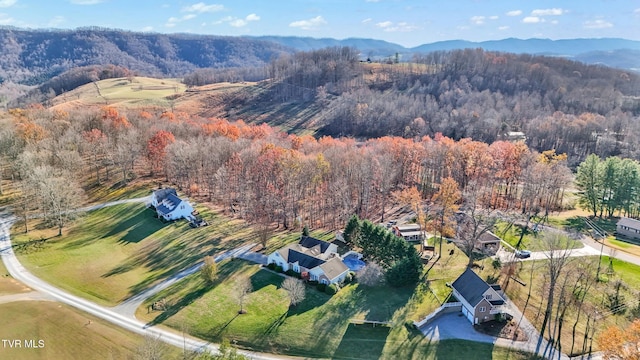 birds eye view of property featuring a mountain view