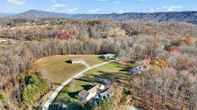 aerial view with a mountain view