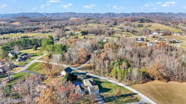 drone / aerial view with a mountain view