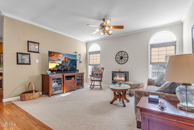 living room featuring hardwood / wood-style flooring, ceiling fan, and ornamental molding