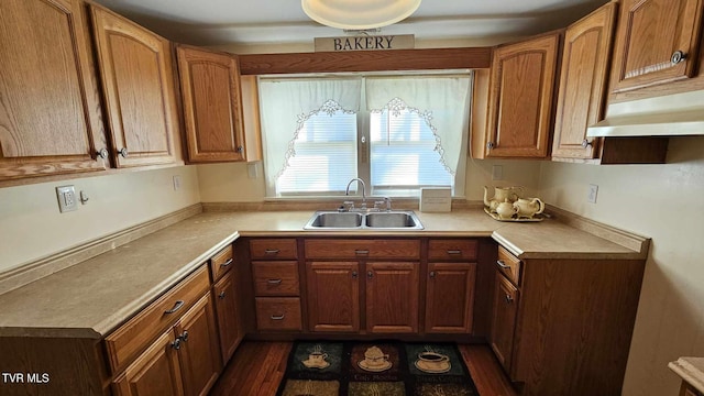 kitchen with sink and dark wood-type flooring