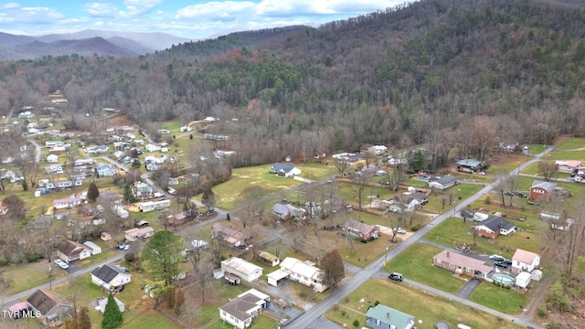 birds eye view of property with a mountain view