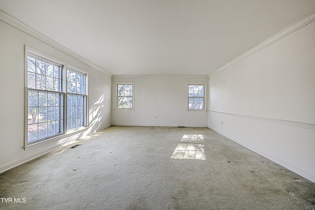 empty room with light colored carpet and crown molding