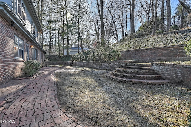 view of yard featuring a patio area