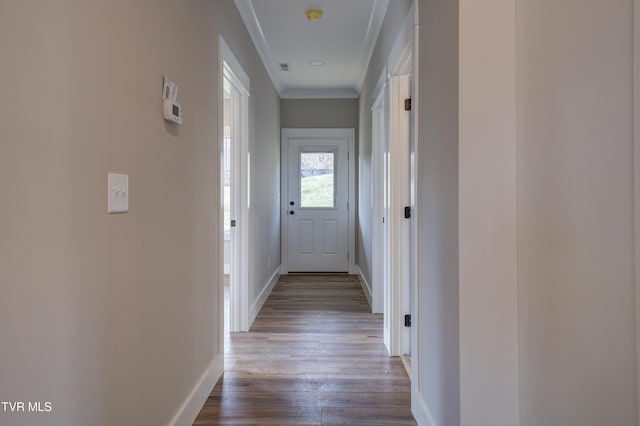 corridor featuring light hardwood / wood-style floors and ornamental molding