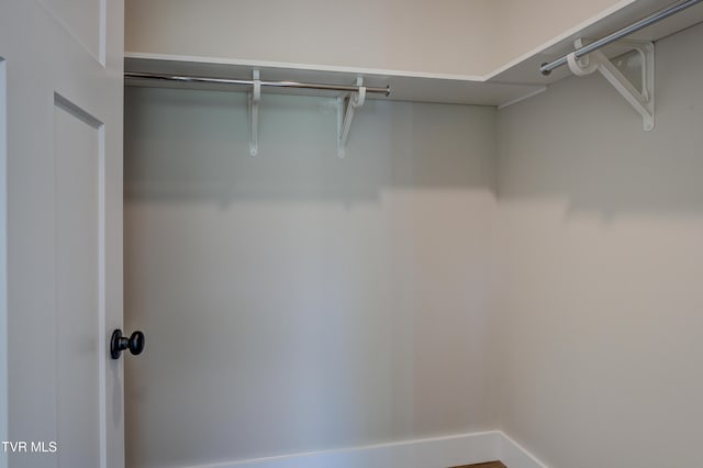 view of walk in closet