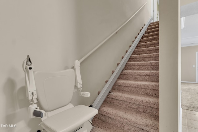 staircase featuring carpet