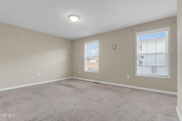 spare room featuring carpet flooring, a wealth of natural light, and a textured ceiling