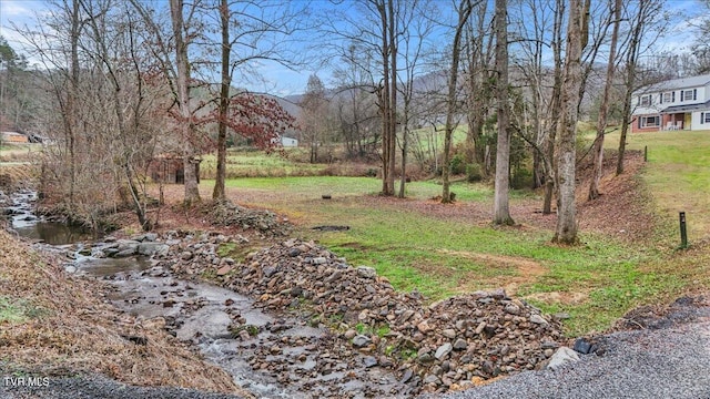 311 Dry Fork Rd, Del Rio, TN 37727 - view of yard