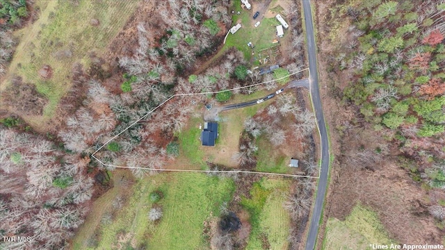 311 Dry Fork Rd, Del Rio, TN 37727 - bird's eye view