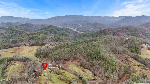 311 Dry Fork Rd, Del Rio, TN 37727 - mountain view with a heavily wooded area
