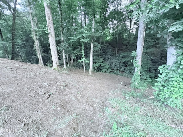 311 Dry Fork Rd, Del Rio, TN 37727 - view of wooded area