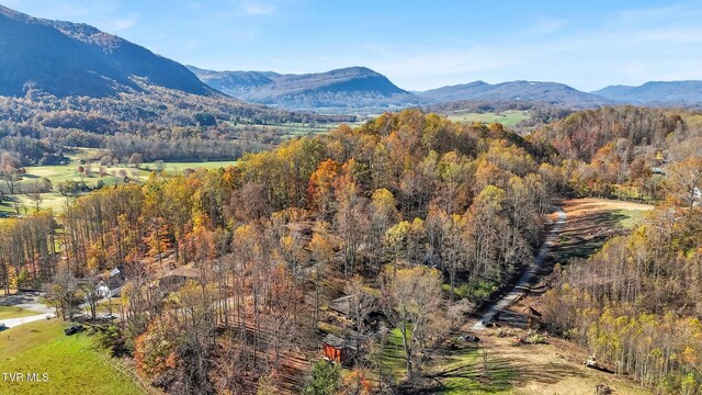 view of mountain feature