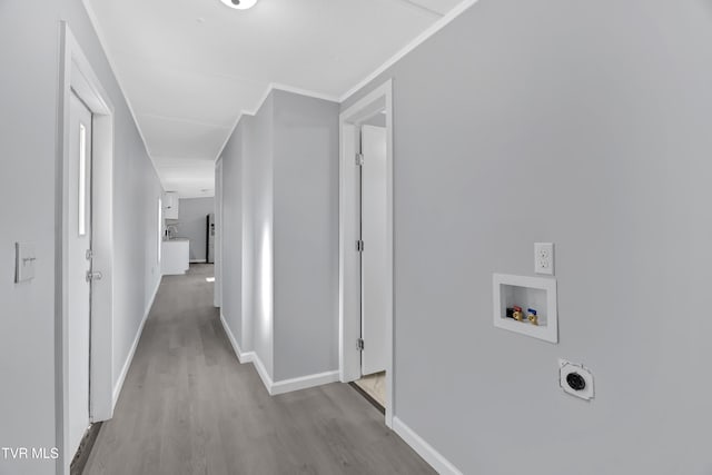 hallway featuring light wood-type flooring and ornamental molding