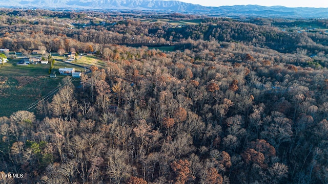 aerial view with a mountain view