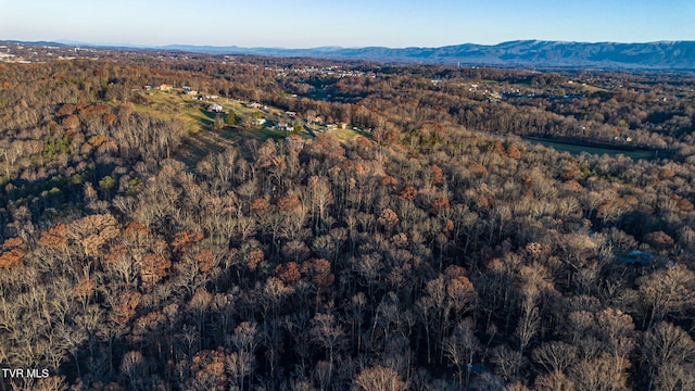 aerial view featuring a mountain view