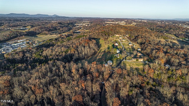 aerial view with a mountain view