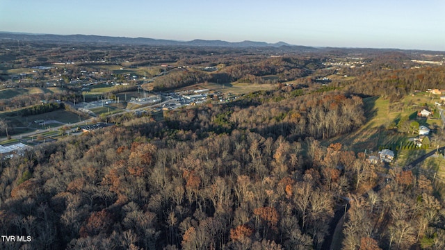 bird's eye view with a mountain view