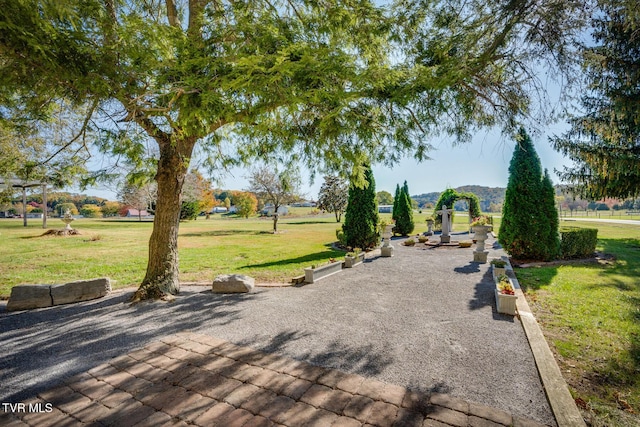 view of home's community featuring a lawn