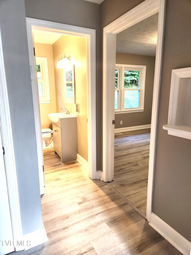 hall featuring sink, a textured ceiling, and light wood-type flooring