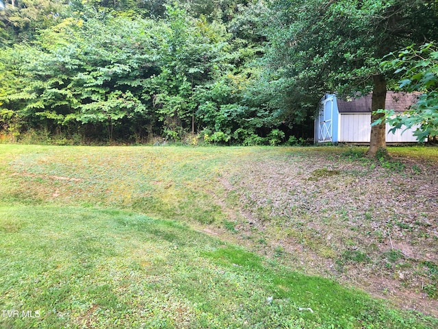 view of yard featuring a storage shed