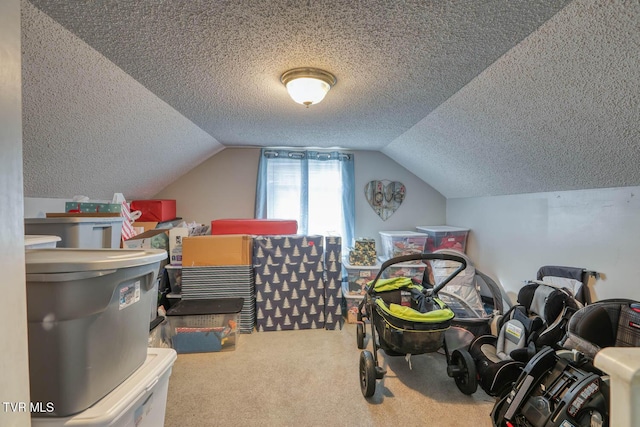 additional living space with carpet, a textured ceiling, and vaulted ceiling