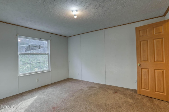 unfurnished room featuring carpet floors and a textured ceiling