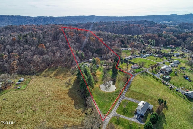 birds eye view of property with a mountain view