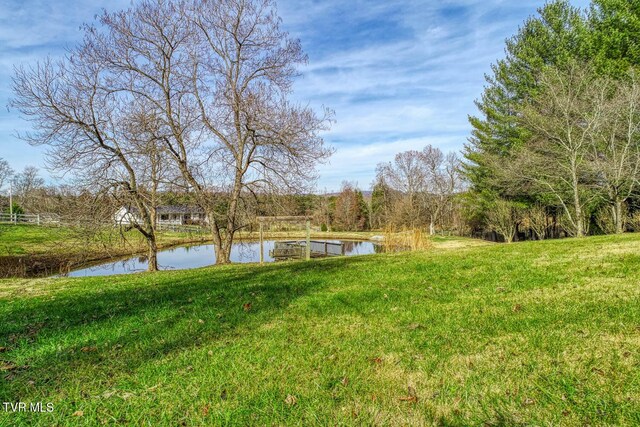 view of yard featuring a water view