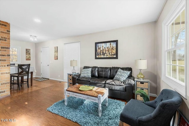 living room with a wealth of natural light, crown molding, and wood-type flooring