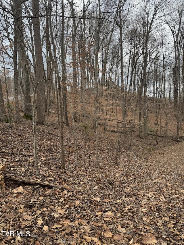 0 Golf Course Rd, Unicoi, TN 37692