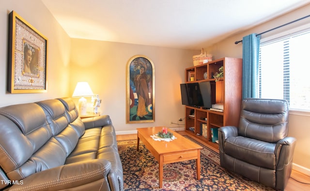 living room with wood-type flooring