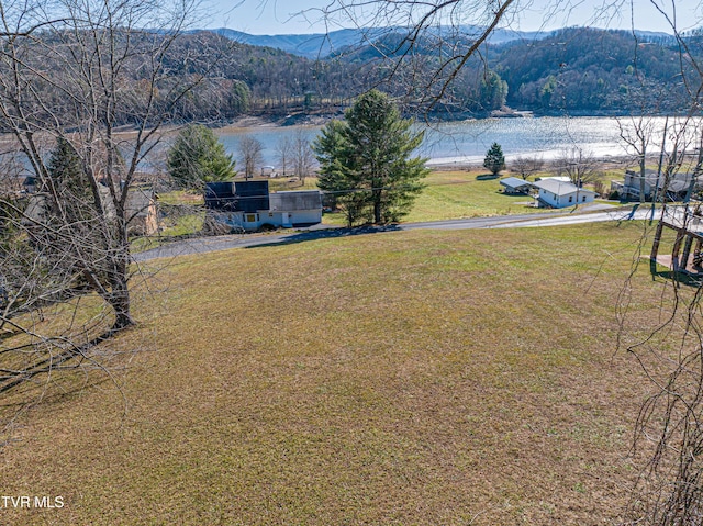 TBD Lakeshore Dr, Abingdon, VA 24211 - photo 16