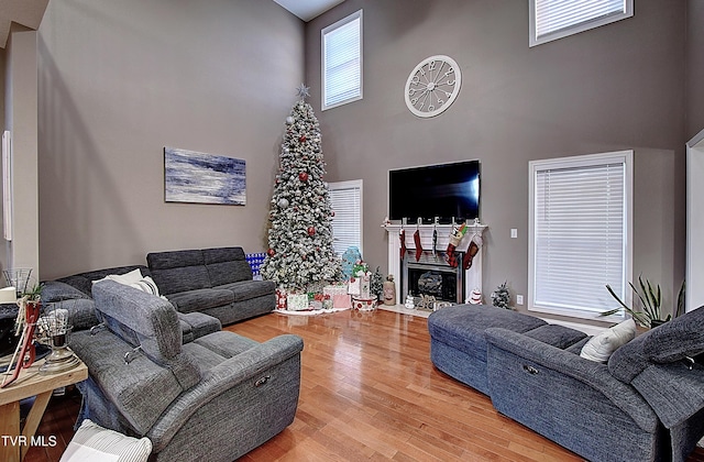 living room with a towering ceiling and hardwood / wood-style flooring