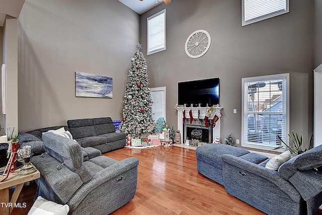 living room featuring ceiling fan, wood-type flooring, and a high ceiling