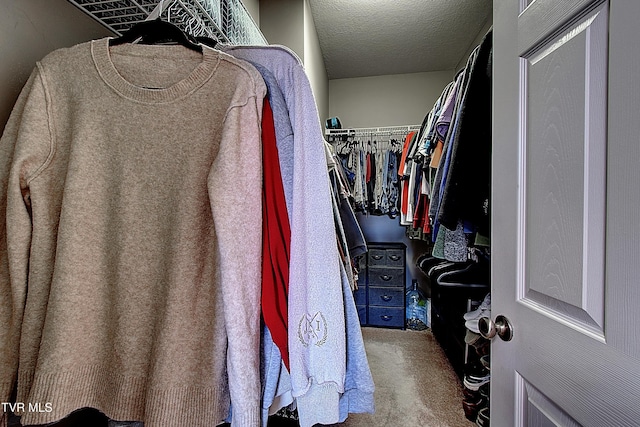 walk in closet featuring carpet flooring