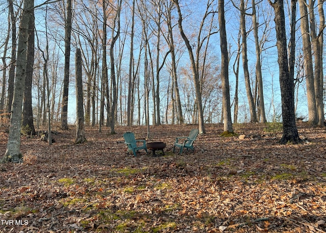 view of yard featuring a fire pit