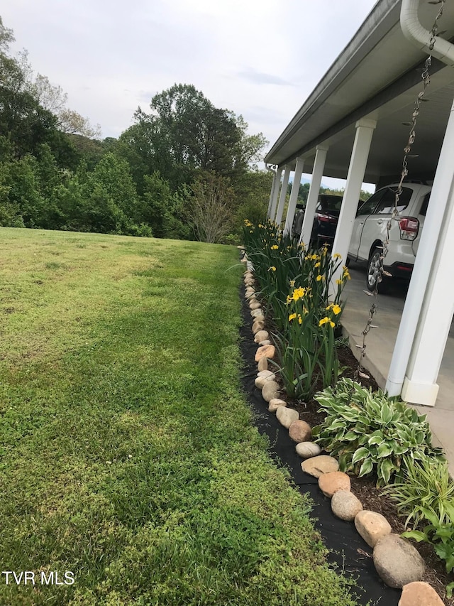 view of yard featuring a carport