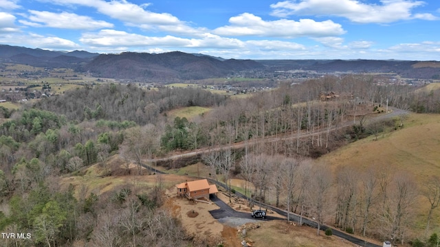 247 Black Snake Hollow Rd, Elizabethton, TN 37643 - photo 8